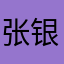 张银艳