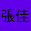 張佳晨