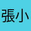 張小迪