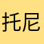 托尼李李李李