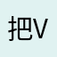 把v政府v