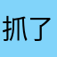 抓了他