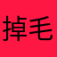 掉毛的小野猫