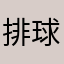 排球少年组
