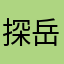 探岳2020