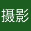摄影师小猫咪