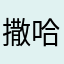 撒哈拉一幕