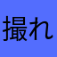 撮れていない