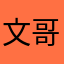 文哥在这