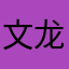 文龙飞影