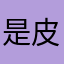 是皮皮呀23333