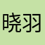 晓羽人