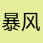 暴风的城市