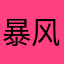 暴风F