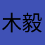 木毅毅