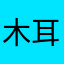 木耳目