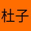 杜子美z