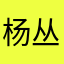 杨丛丛女士