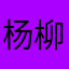 杨柳晓风晓月