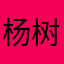 杨树鹏程