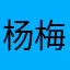 杨梅1977