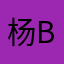 杨；vd w g b