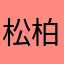 松柏雪