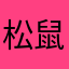 松鼠橙