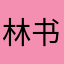 林书记3