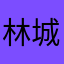 林城投