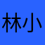 林小长老