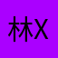 林X宇