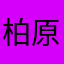 柏原よしこ