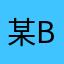 某b用户