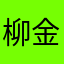柳金海