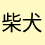 柴犬牛奶罐