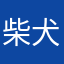柴犬808