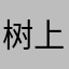 树上一直熊