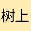 树上的西瓜