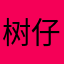 树仔-_-
