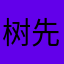 树先生。🌲。