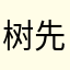 树先生J