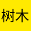 树木33345