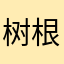 树根555555555