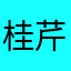 桂芹儿子