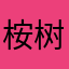 桉树的叶