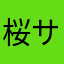 桜サクラ02580