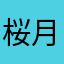 桜姫 月夜