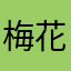 梅花开满