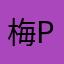 梅PON2